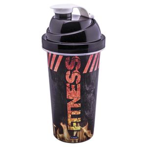 Shakeira Plasutil Decora 580ml Feminino