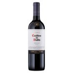 VINHO-CHILE-CASILLERO-MERLOT-750ML