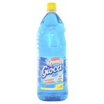 DESINF-GIOCA-2L-MARINE