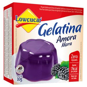 Gelatina Lowçucar Zero Açucar Amora 10g