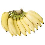 HORTI-BANANA-PRATA-KG-26071