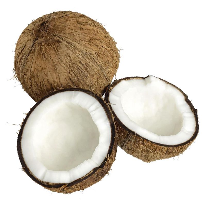 HORTI-COCO-SECO-KG-26403