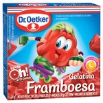 GELT-DR-OETKER-20G-FRAMBOESA