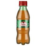 REFRI-ANTARCTICA-GUARANA-PET-200ML