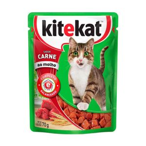 Ração Para Gato Kitekat Adulto 70g Carne