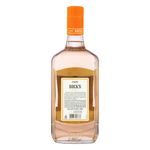 GIN-ROCKS-SABORES-1L-SUNSET