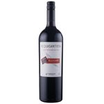 VINHO-RESERVAD-ACQUASANTIERA-GAR-1L-TINTO-DEMI-SEC