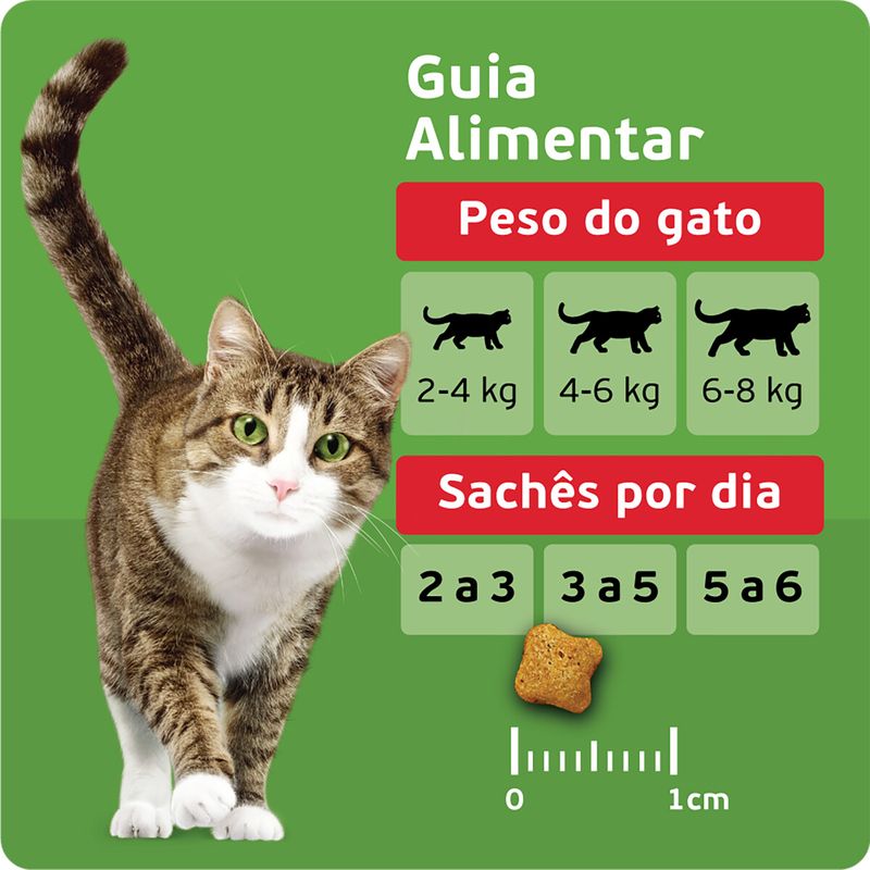 RACAO-P-GATO-KITEKAT-ADULTO-900G