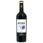 VINHO-SALTON-INTENSO-T.SEC-750ML-MALBEC