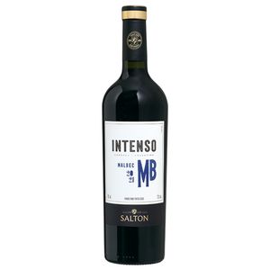 Vinho Salton Intenso Tinto Seco Malbec 750ml