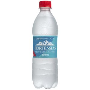 Água Mineral Hortênsias Com Gás Pet 500ml