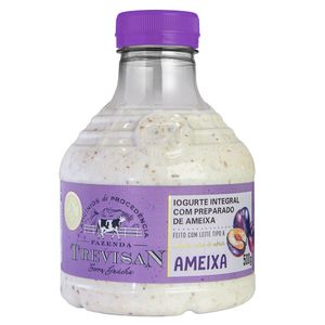 Iogurte Integral De Ameixa Trevisan 500g