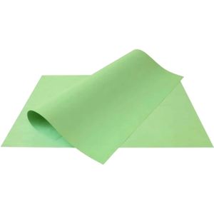 Cartolina Jandaia 50cmx66cm Verde