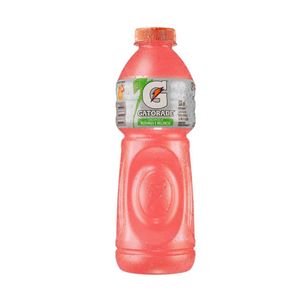 Bebida Isotônico Gatorade Sabor Morango E Melancia 500ml