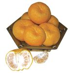 HORTI-BERGAMOTA-CAI-KG