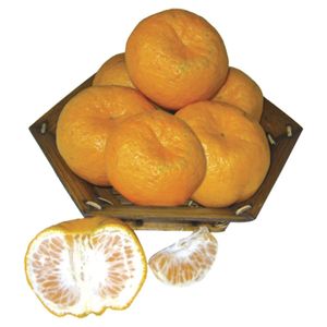Bergamota Cai Aprox. 200g
