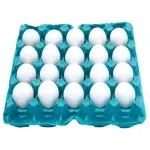 OVOS-GAL-GRJ-PELOTENSE-T.G-BR-C-20