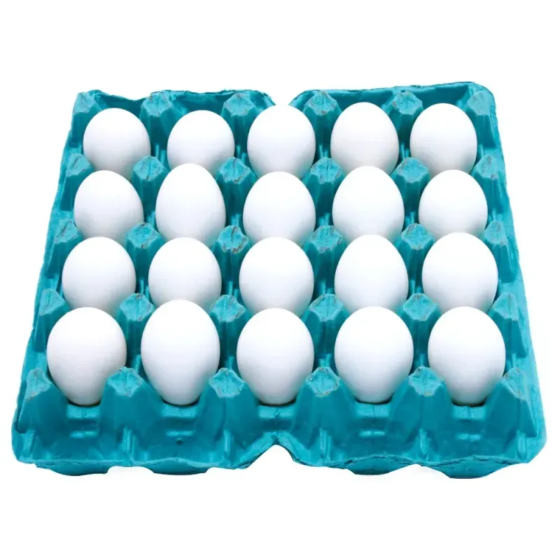OVOS-GAL-GRJ-PELOTENSE-T.G-BR-C-20